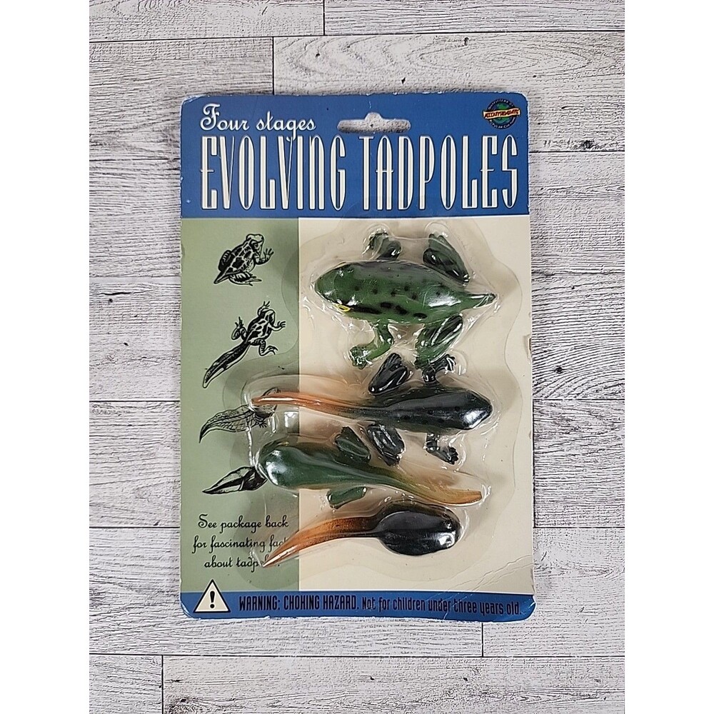 Vintage Accoutrements Evolving Tadpoles 4 Stages 1995 Nature Fish Outdoors